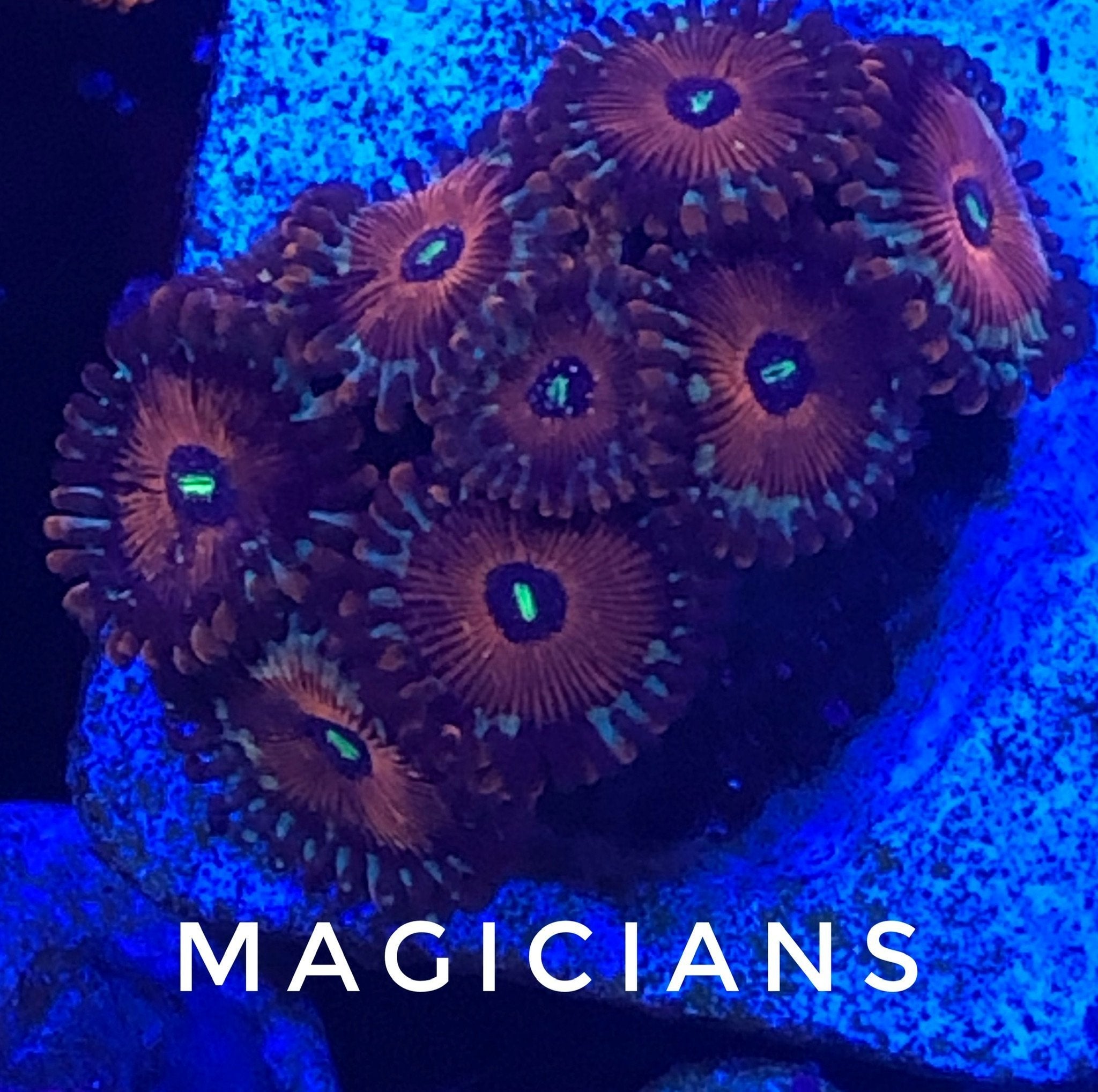 Magicians